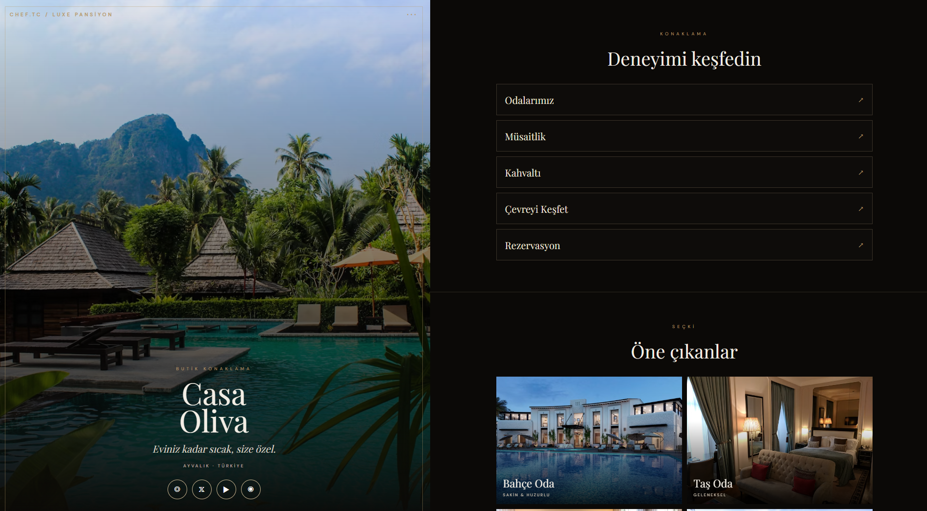 Hotel Web Site - Biolink