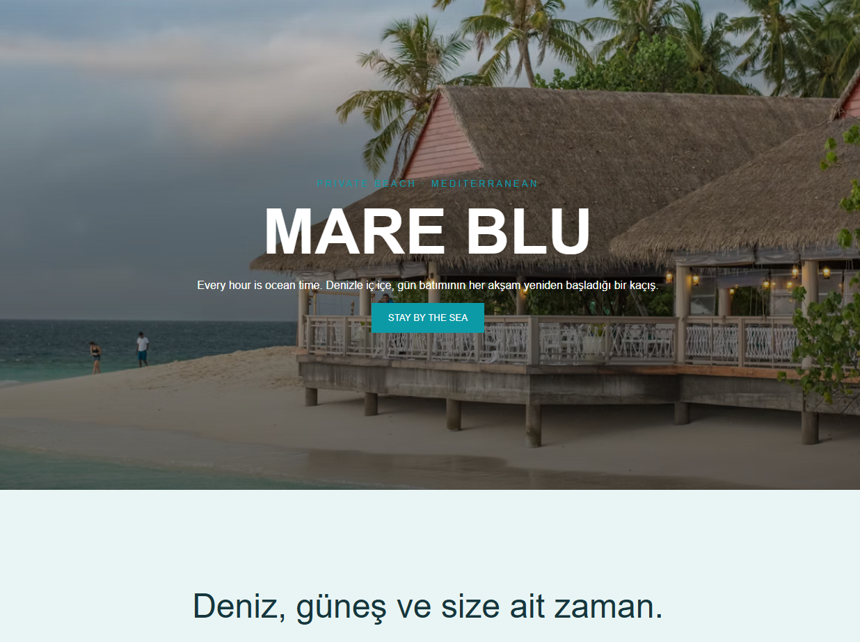 Hotel Web Site